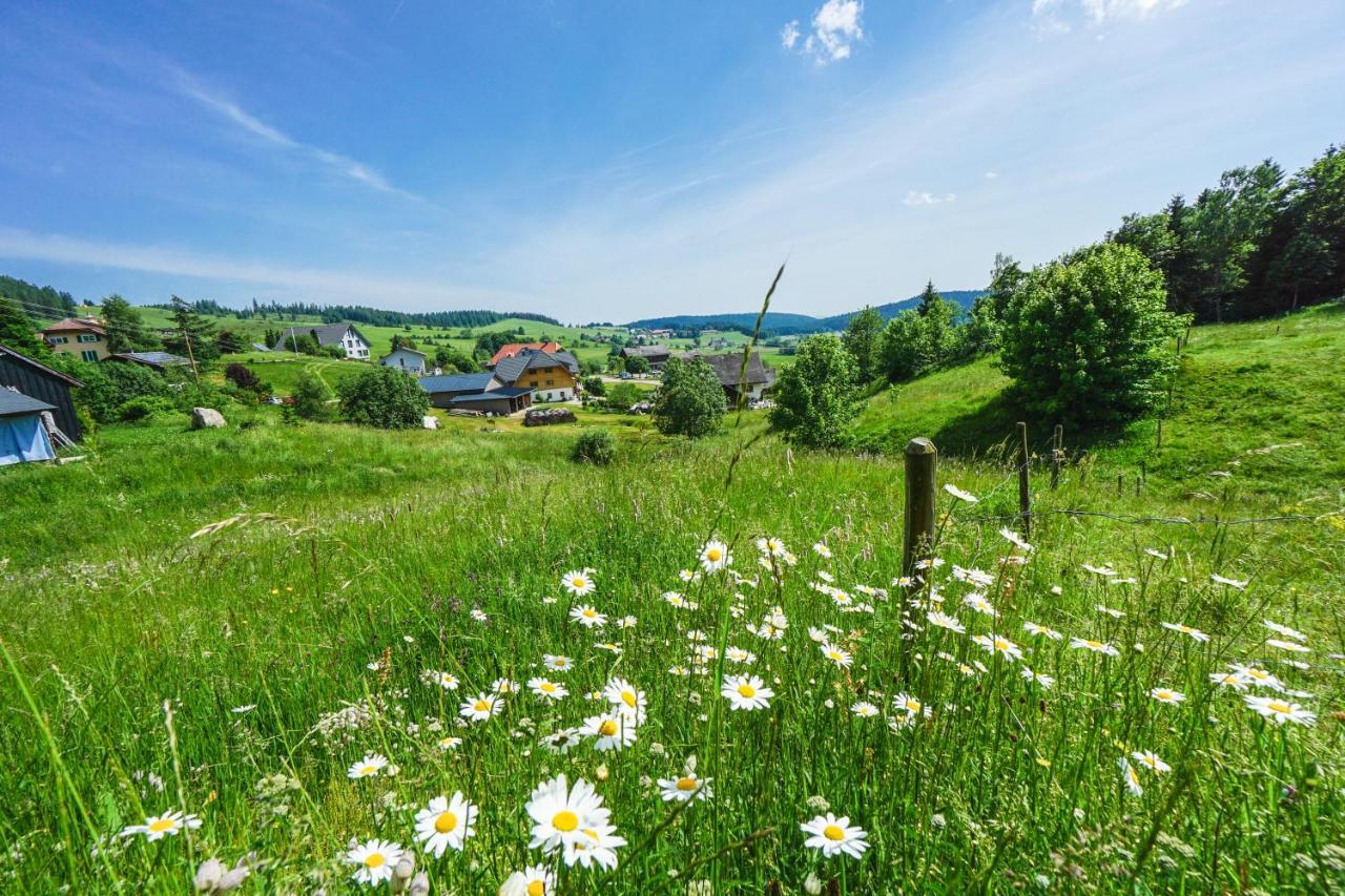 Hubertus Lodge Ibach Eksteriør billede